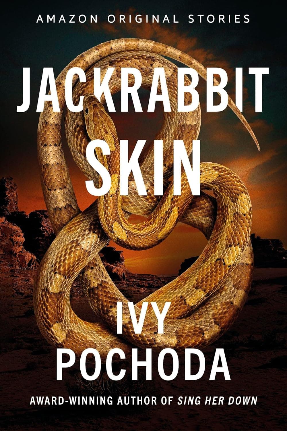 Cover of Jackrabbit Skin