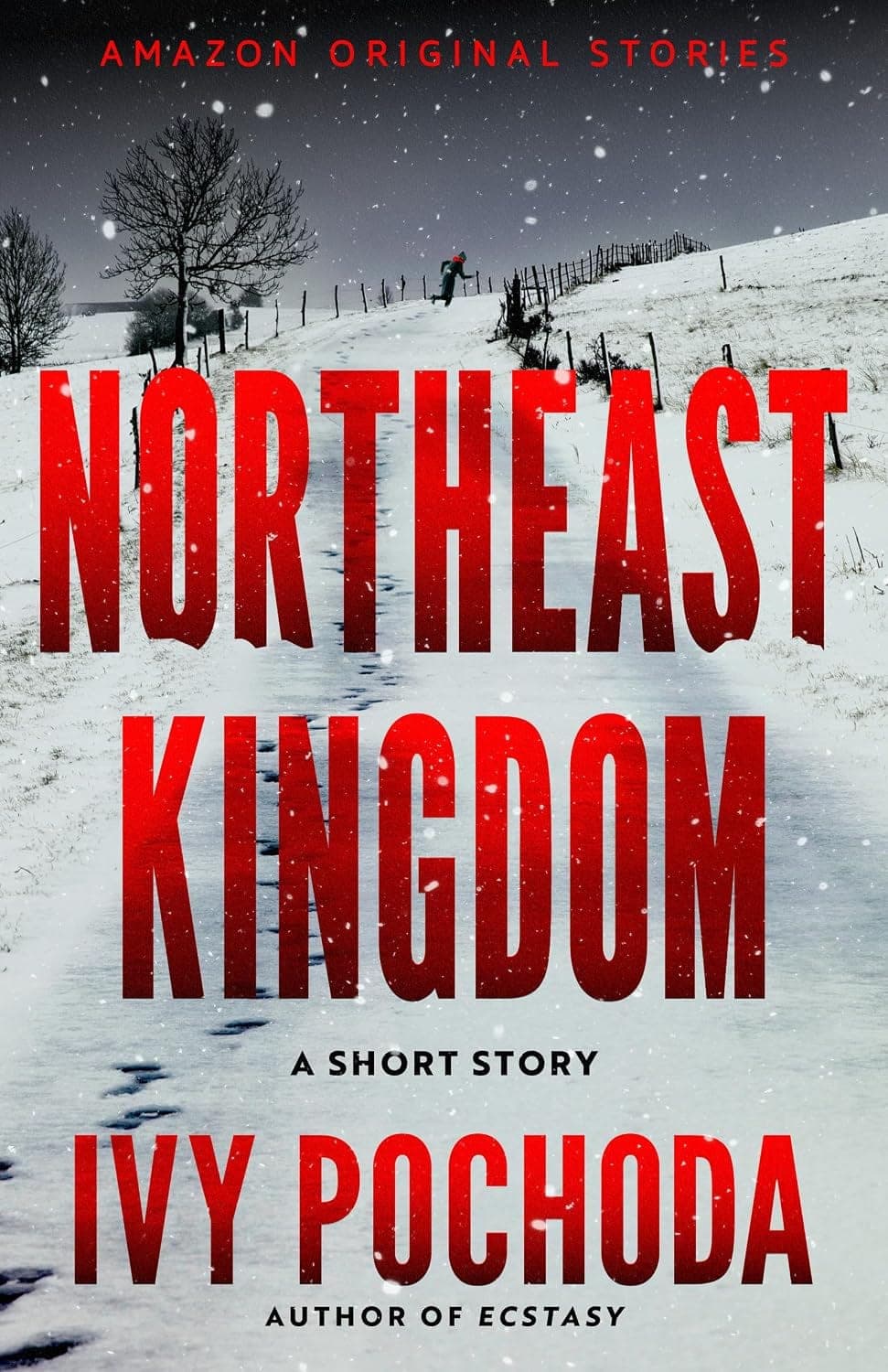 Cover of Northeast Kingdom