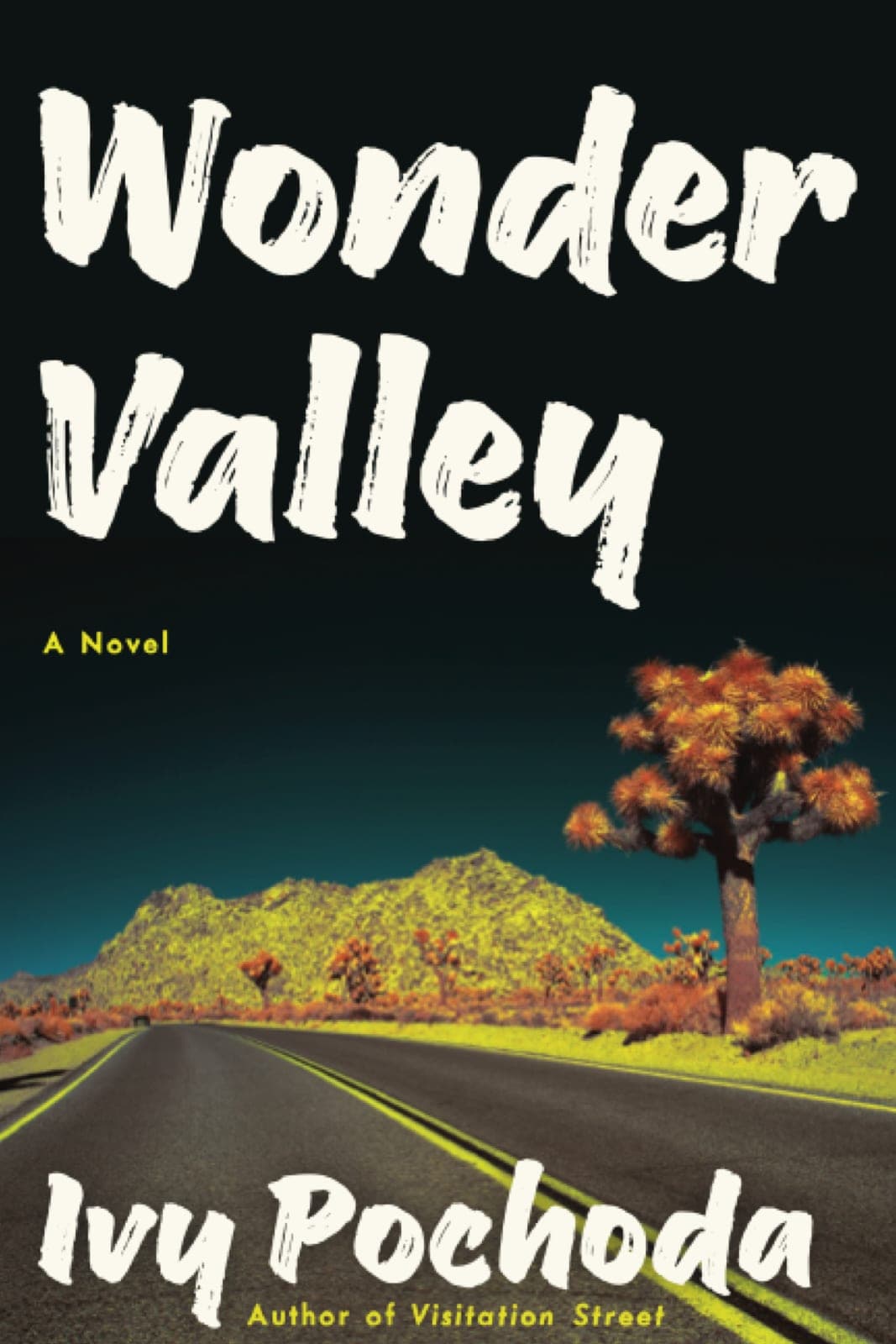 Cover of Wonder Valley